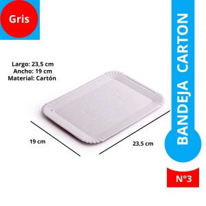 BANDEJA CARTON GRIS REC N°3 x 100u